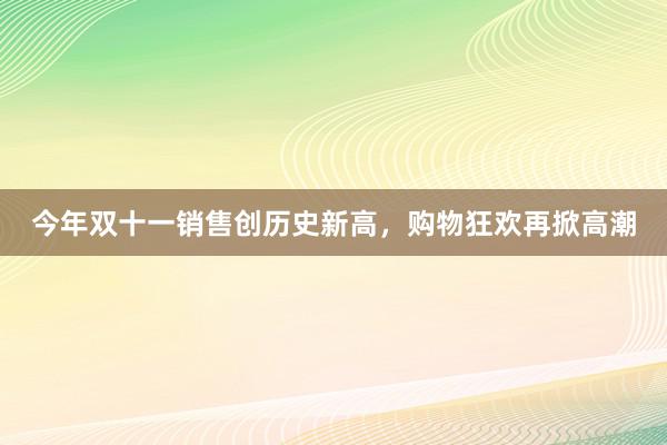 今年双十一销售创历史新高，购物狂欢再掀高潮